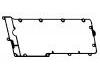 Dichtung, Zylinderkopfhaube Valve Cover Gasket:LVP000020