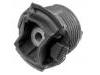 悬架衬套 Suspension Bushing:204 350 02 75
