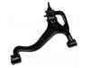 控制臂 Control Arm:RBJ 500193