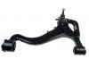 Brazo de suspensión Control Arm:RBJ501360