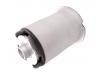 悬架衬套 Suspension Bushing:242 351 03 00